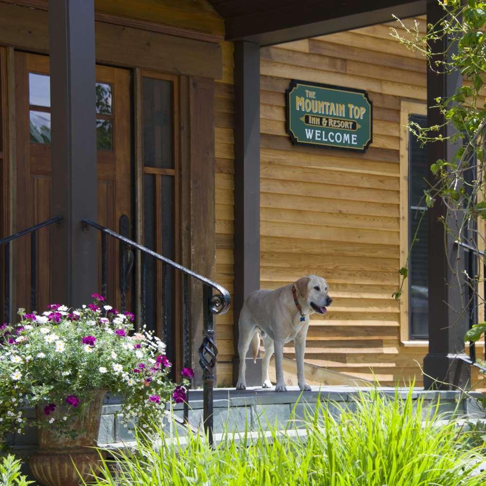 The Mountain Top Inn & Resort Chittenden Удобства фото